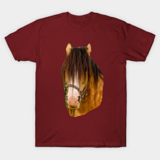 Horse T-Shirt